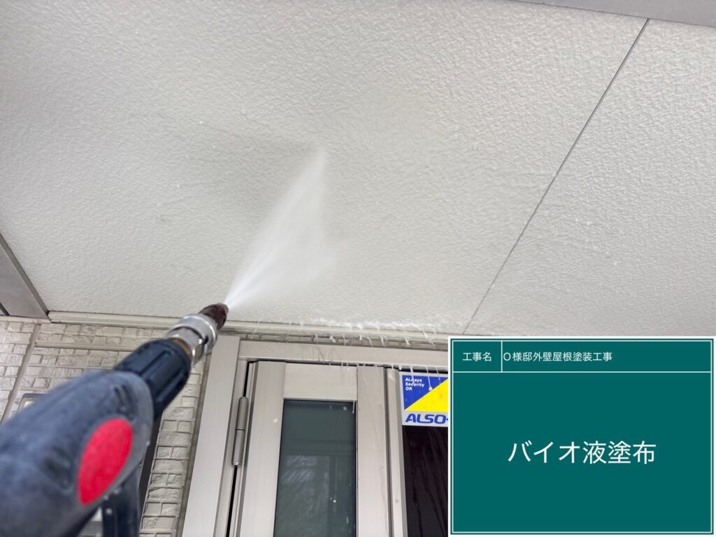 天井バイオ洗浄