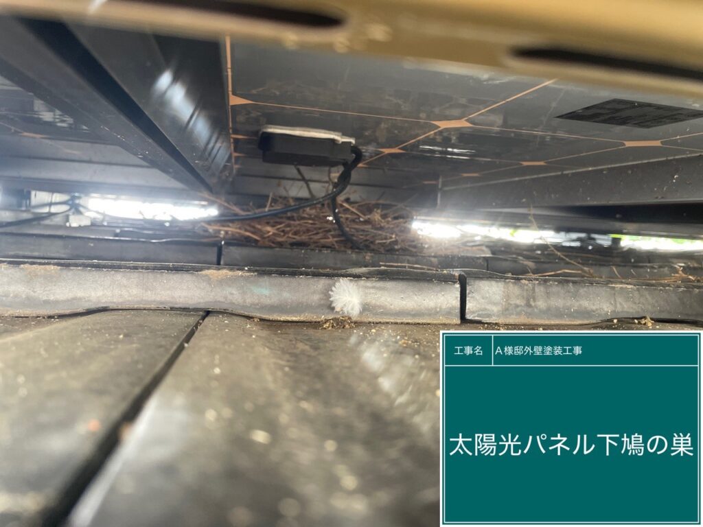 太陽光パネル下の鳩ノ巣を撤去します。